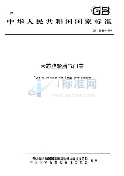 GB 12838-1999 大芯腔轮胎气门芯
