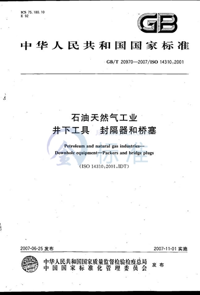 GB/T 20970-2007 石油天然气工业  井下工具  封隔器和桥塞